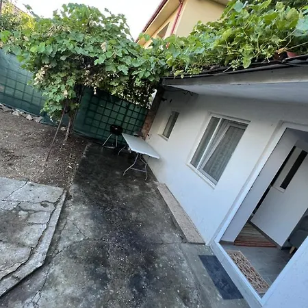 Casa De Vacanta 康斯坦察