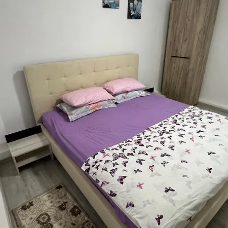 Casa De Vacanta * 康斯坦察
