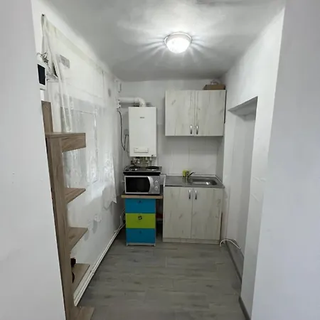 Casa De Vacanta * 康斯坦察